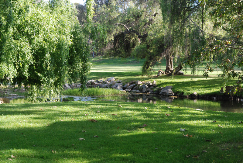 Scenic pond in San Elijo California